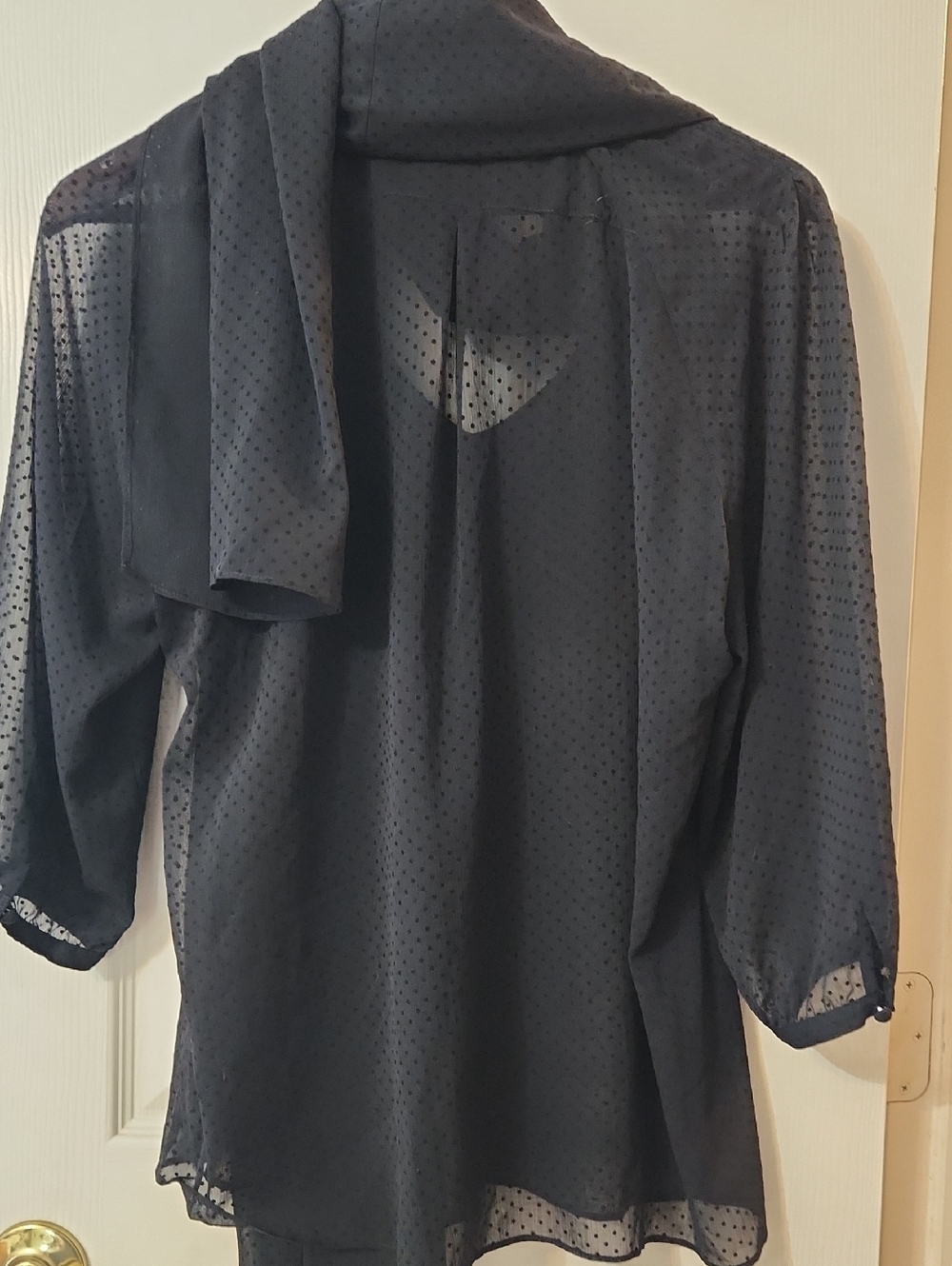 Fossill Sheer Swiss Polka Dot Tie-Neck Blouse - Black - Picture 8 of 8